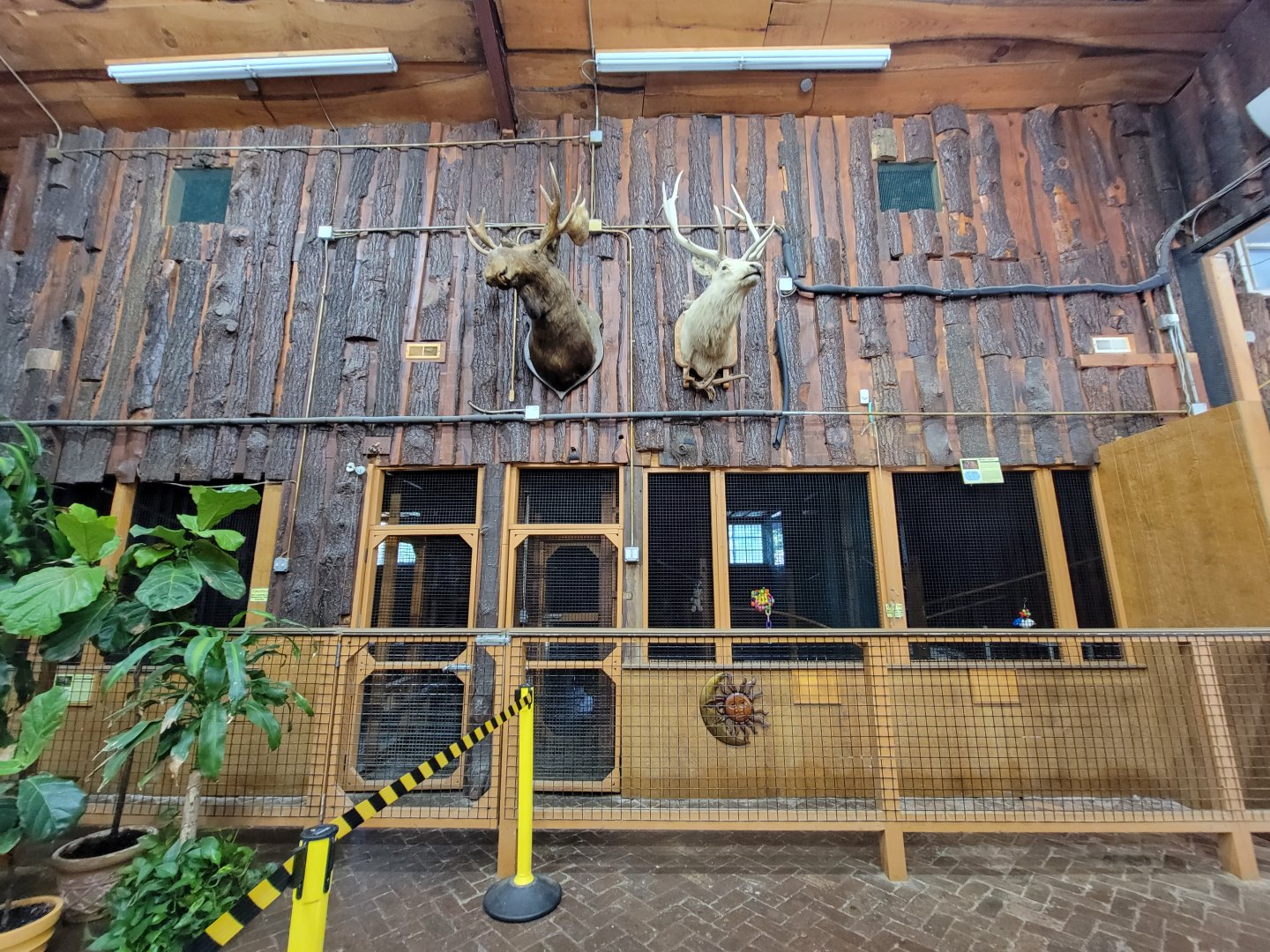 Lupa Zoo - Indoors for lemurs