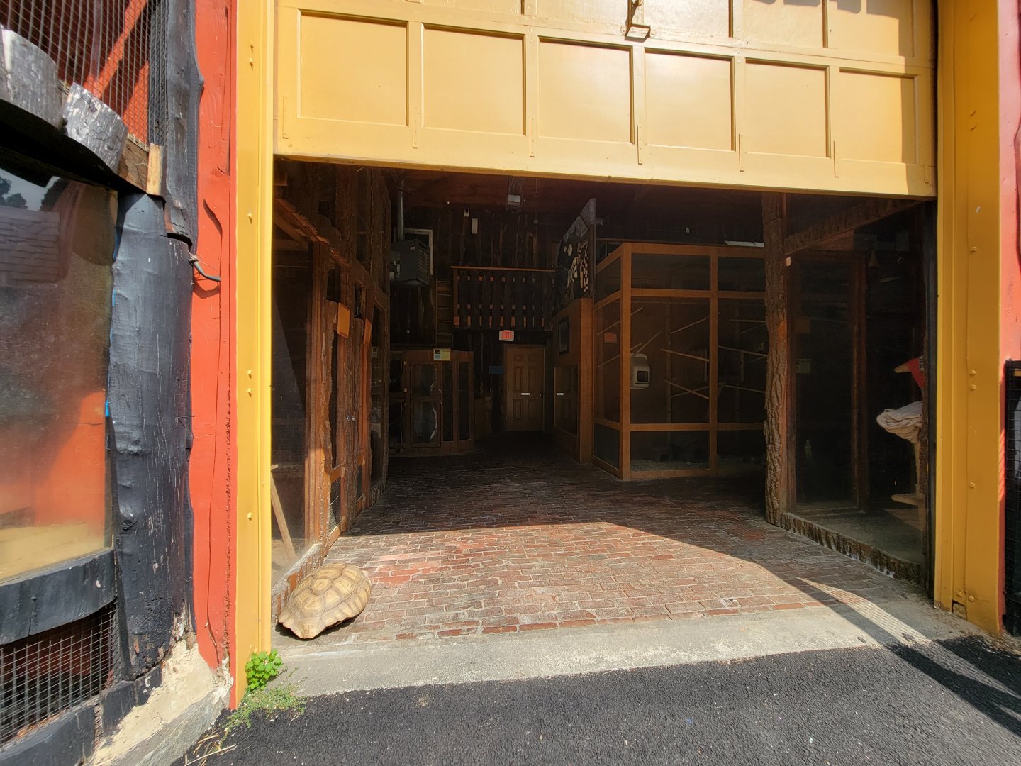 Lupa Zoo - Inside barn