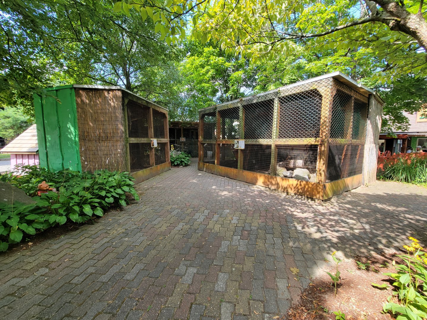 Lupa Zoo - Kinkajou, kookaburra