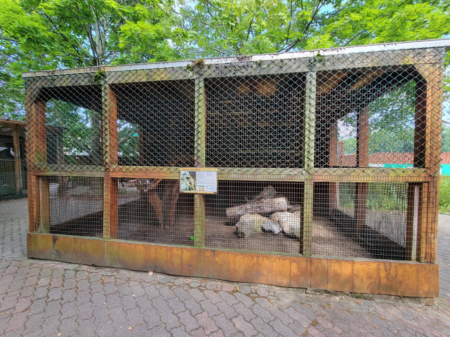 Lupa Zoo - Laughing kookaburra