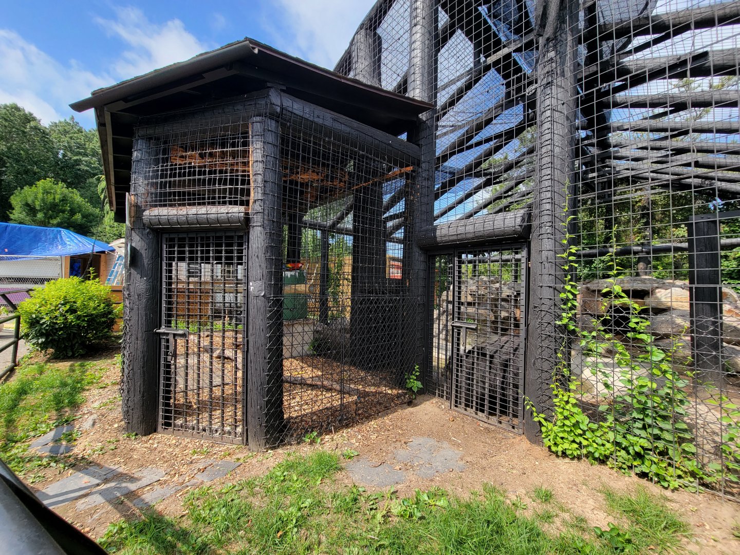 Lupa Zoo - Macaws, asiatic black bear