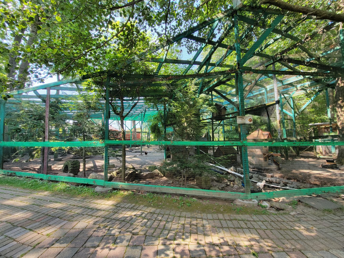 Lupa Zoo - Mixed aviary, signed for red-tailed hawk