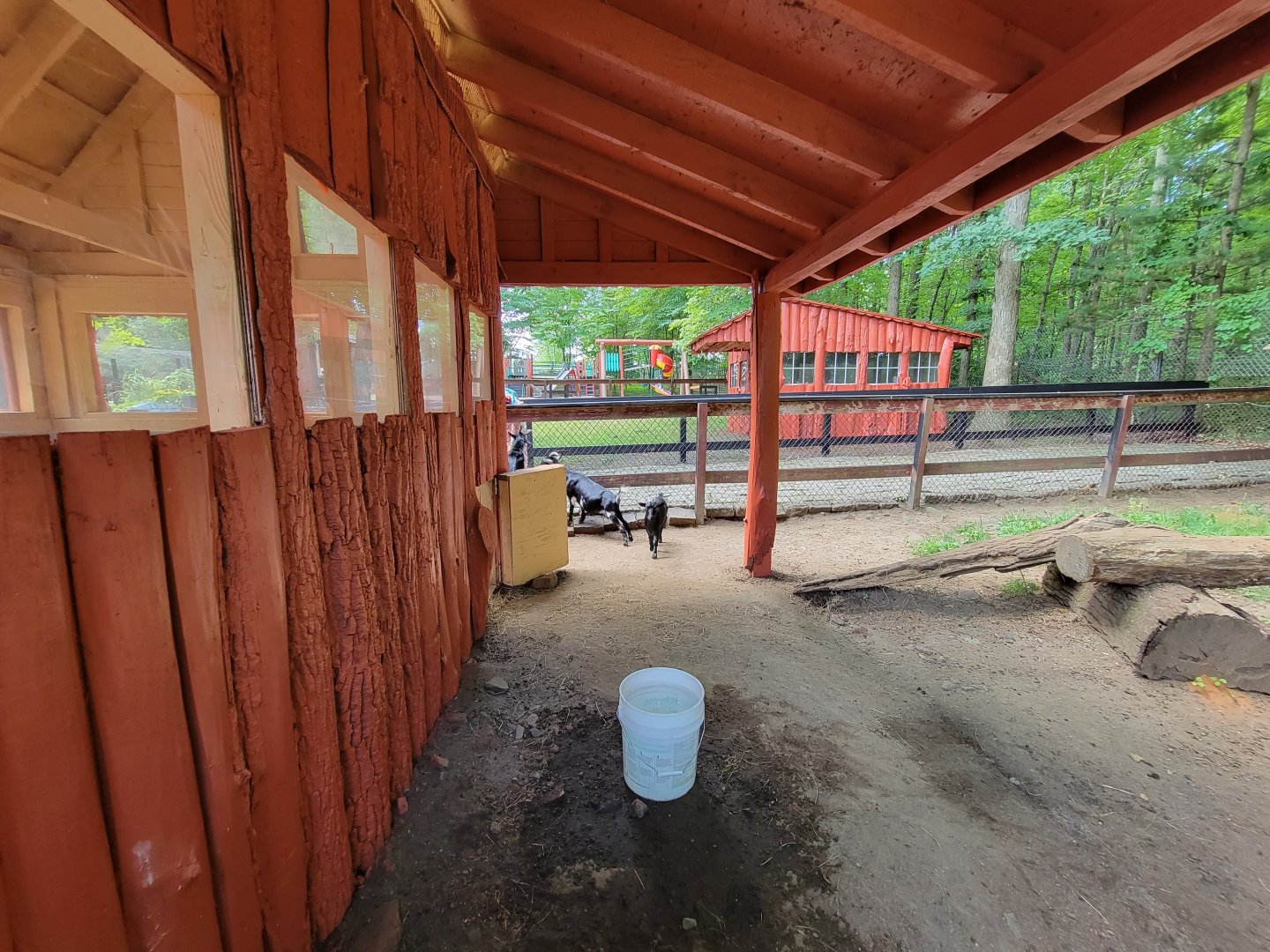 Lupa Zoo - More goats