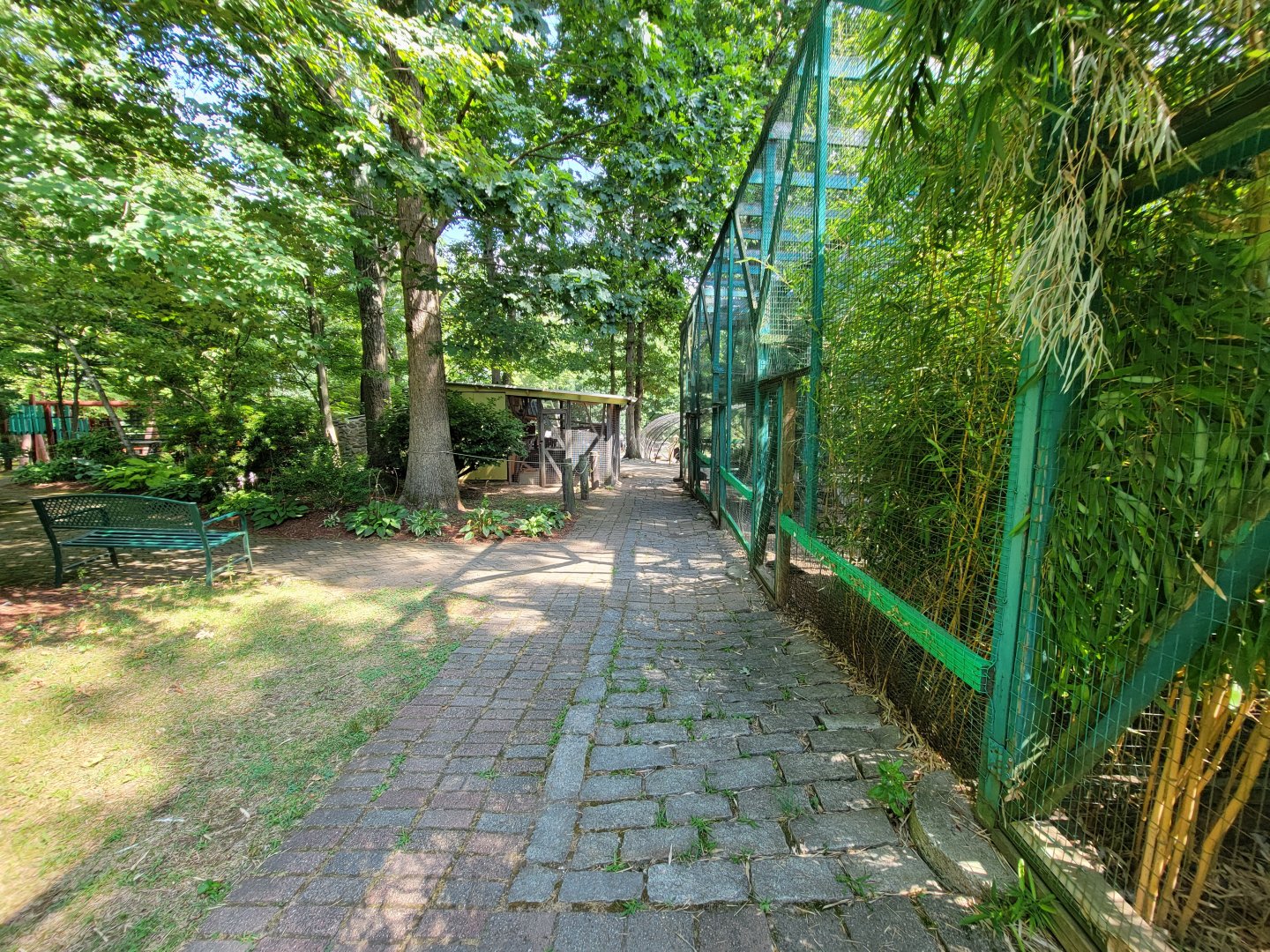 Lupa Zoo - Path by pigeons