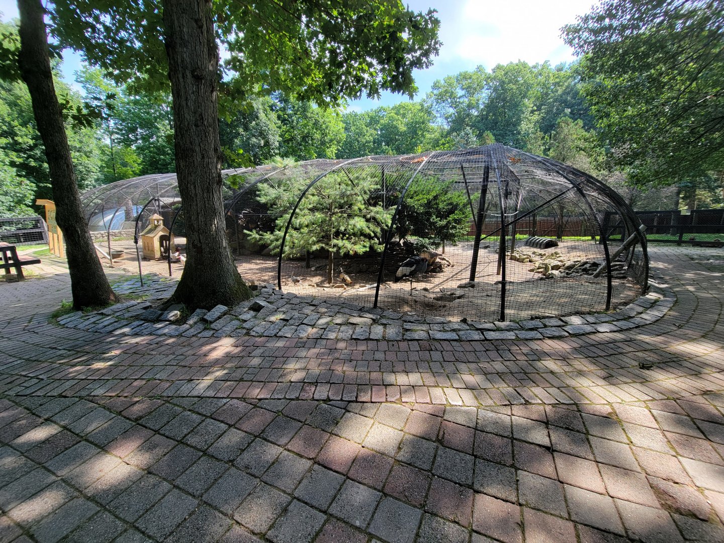 Lupa Zoo - Pheasant aviary that's mostly chickens