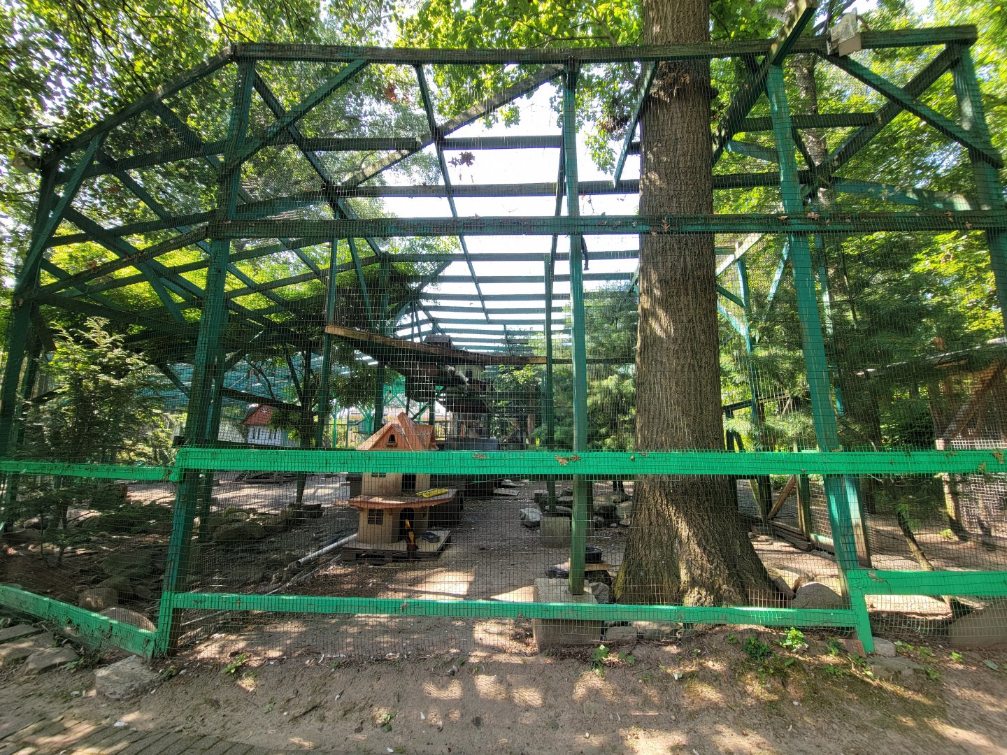 Lupa Zoo - Pigeons, peafowl, chickens, etc