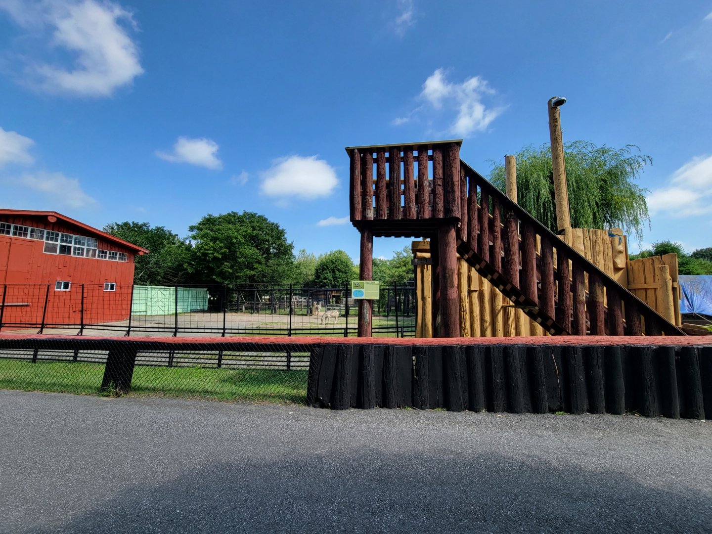 Lupa Zoo - Plains zebras, signed as grevy's (and not giraffes)