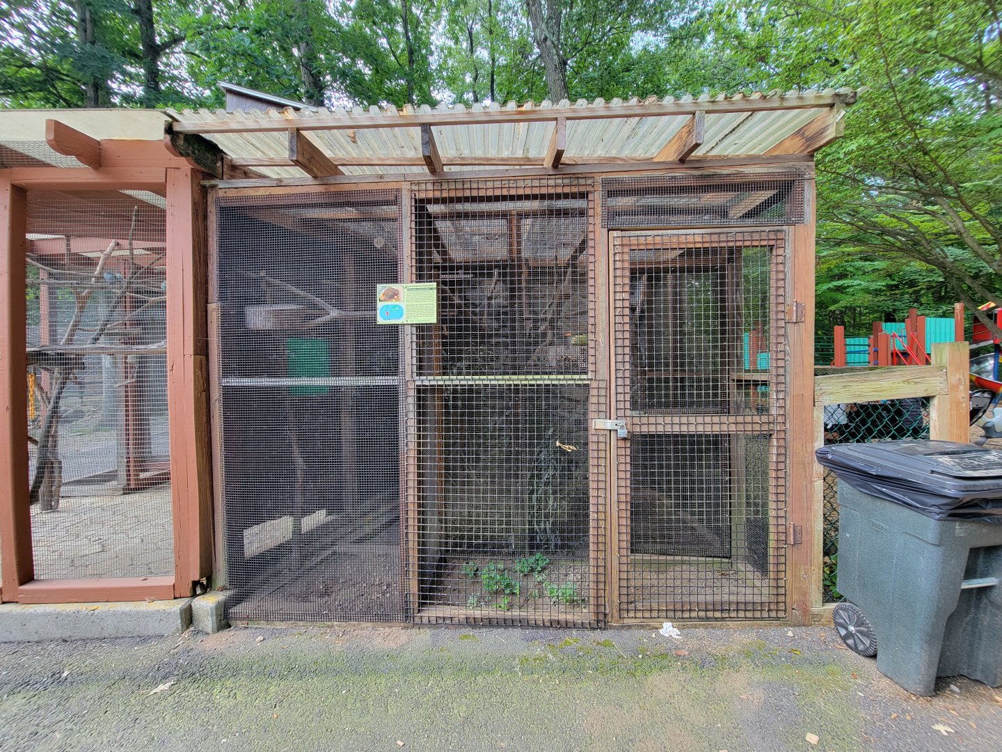 Lupa Zoo - Prehensile-tailed porcupine