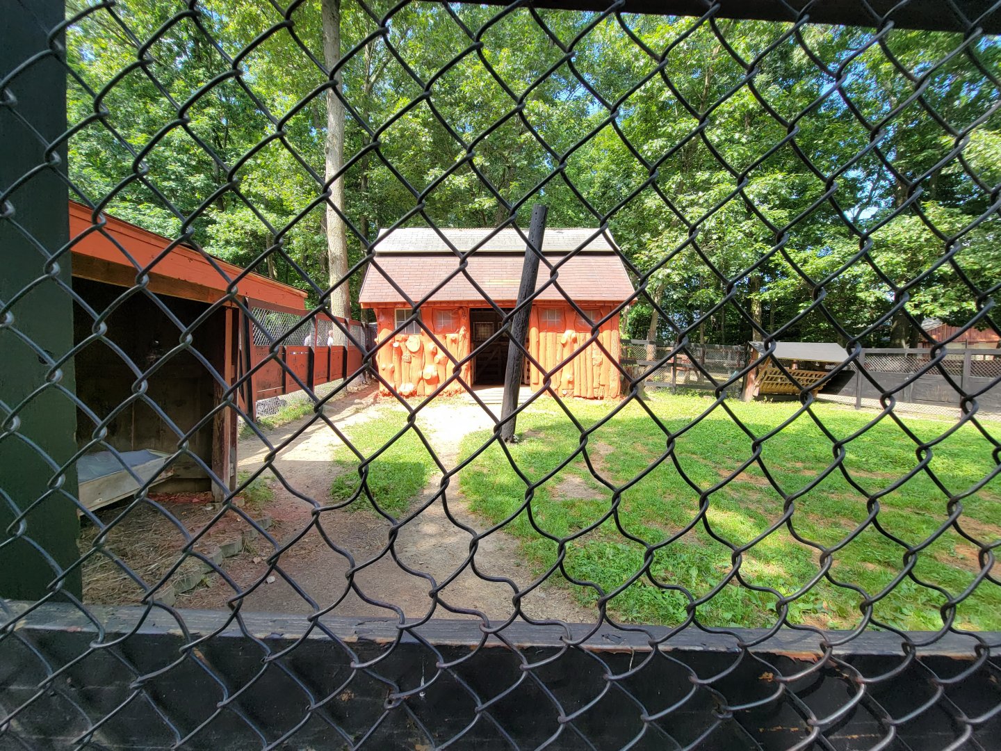 Lupa Zoo - Scimitar yard, signed as beisa