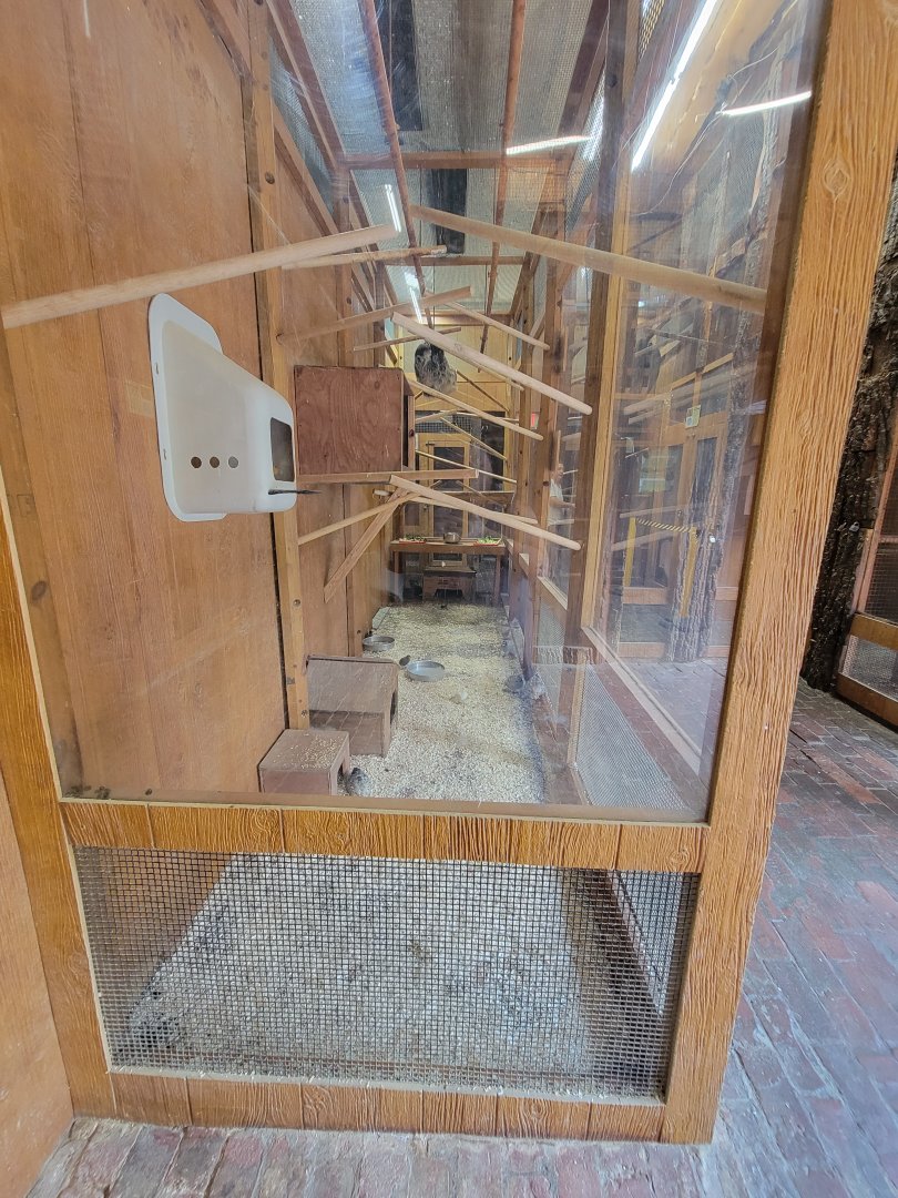 Lupa Zoo - Sloths, unsigned quail and chicken chicks