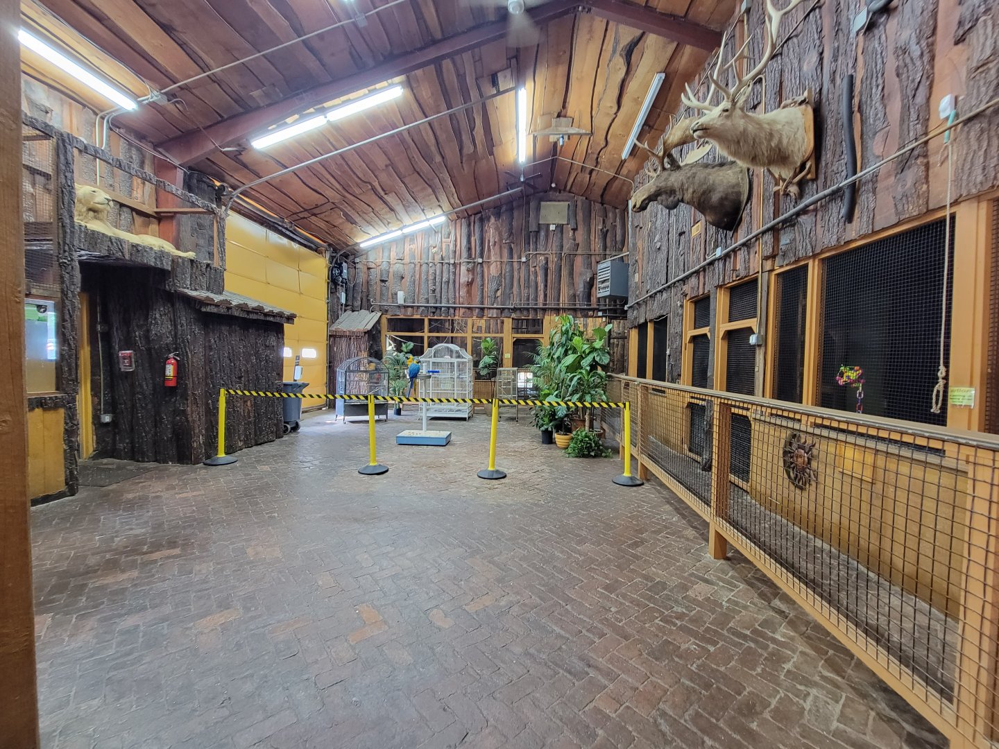 Lupa Zoo - Some birds, indoor areas for primates