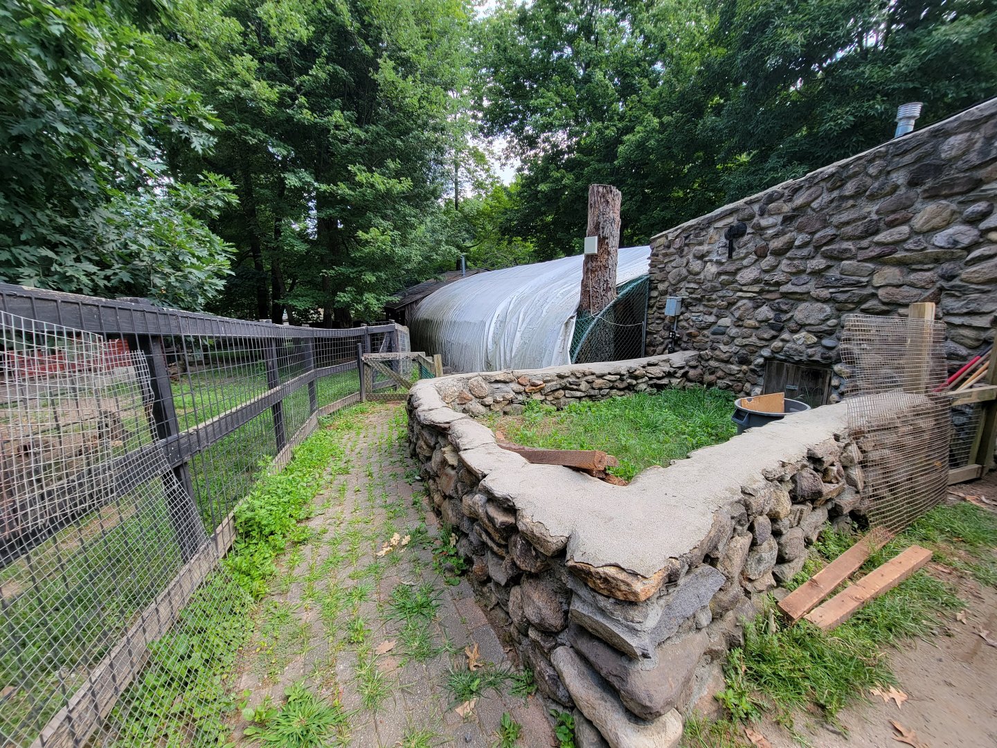 Lupa Zoo - Something? Nothing?