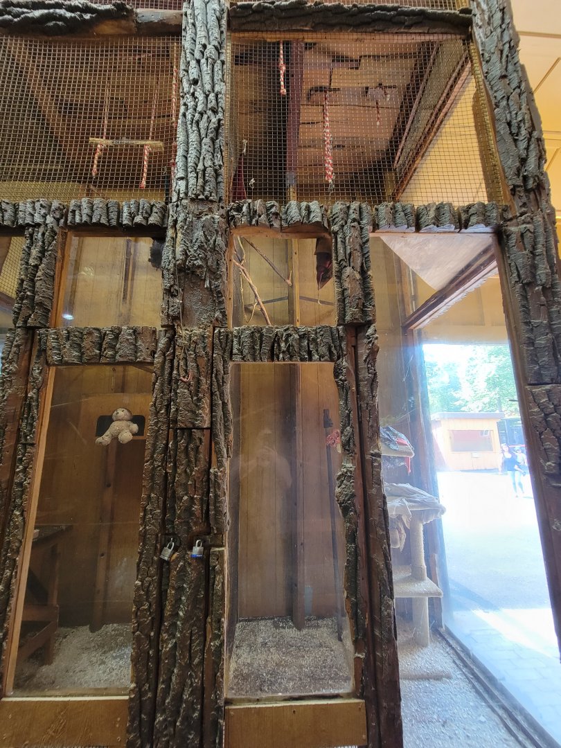 Lupa Zoo - Squirrel monkeys