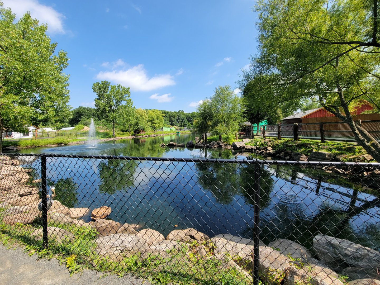 Lupa Zoo - Swan pond