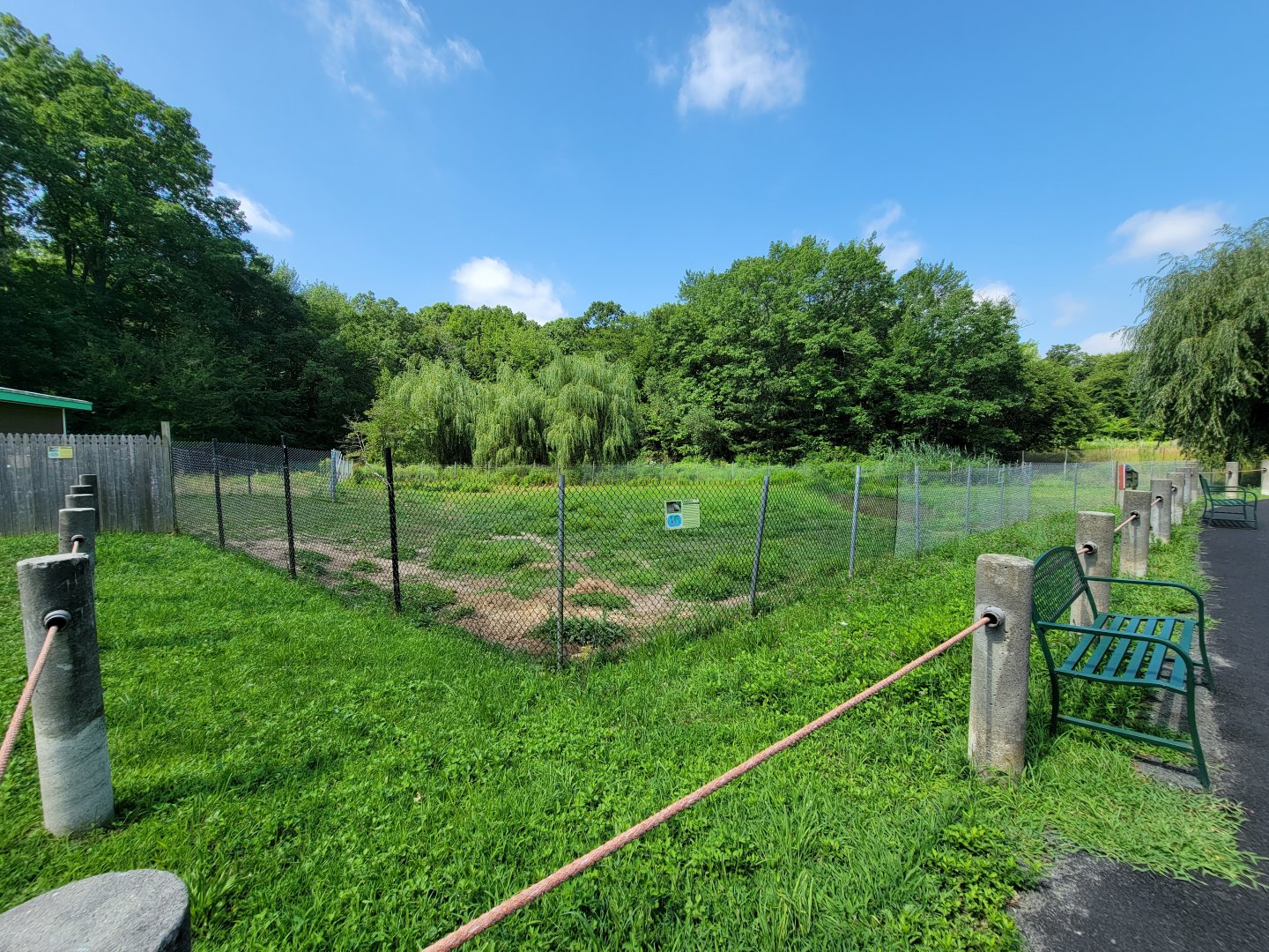 Lupa Zoo - Tapir, capybara