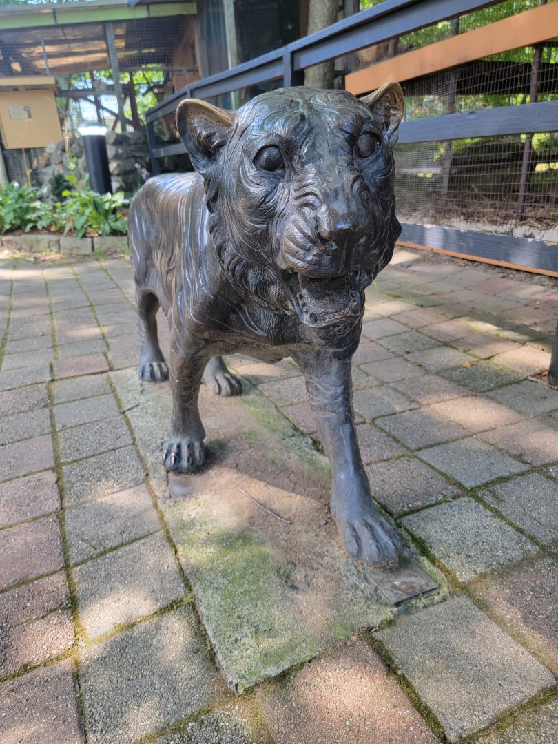 Lupa Zoo - Tiger statue (they have a ton of statues)
