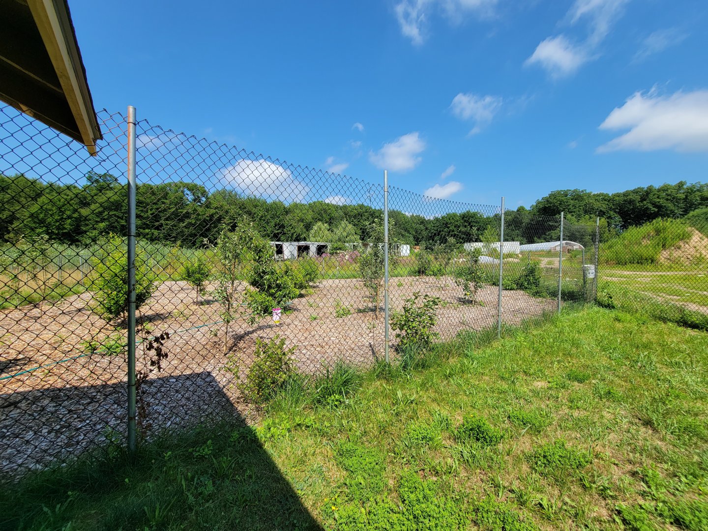 Lupa Zoo - Young trees and empty trailers