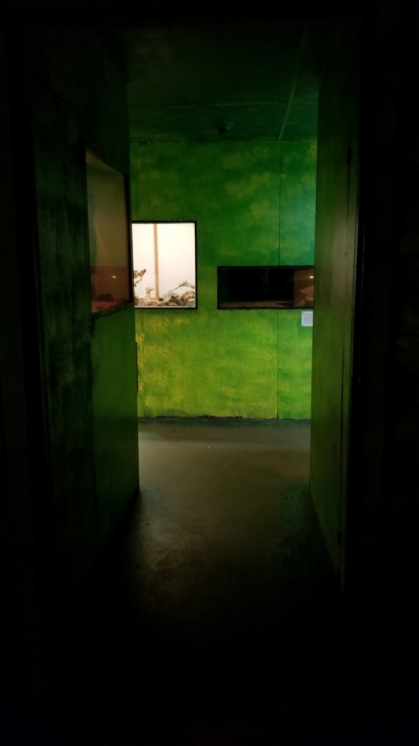 Luray Zoo - entrance to reptile room 2