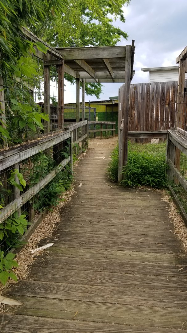 Luray Zoo - Pathway