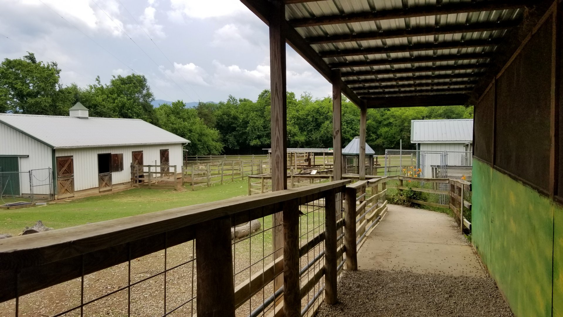 Luray Zoo - Petting zoo area