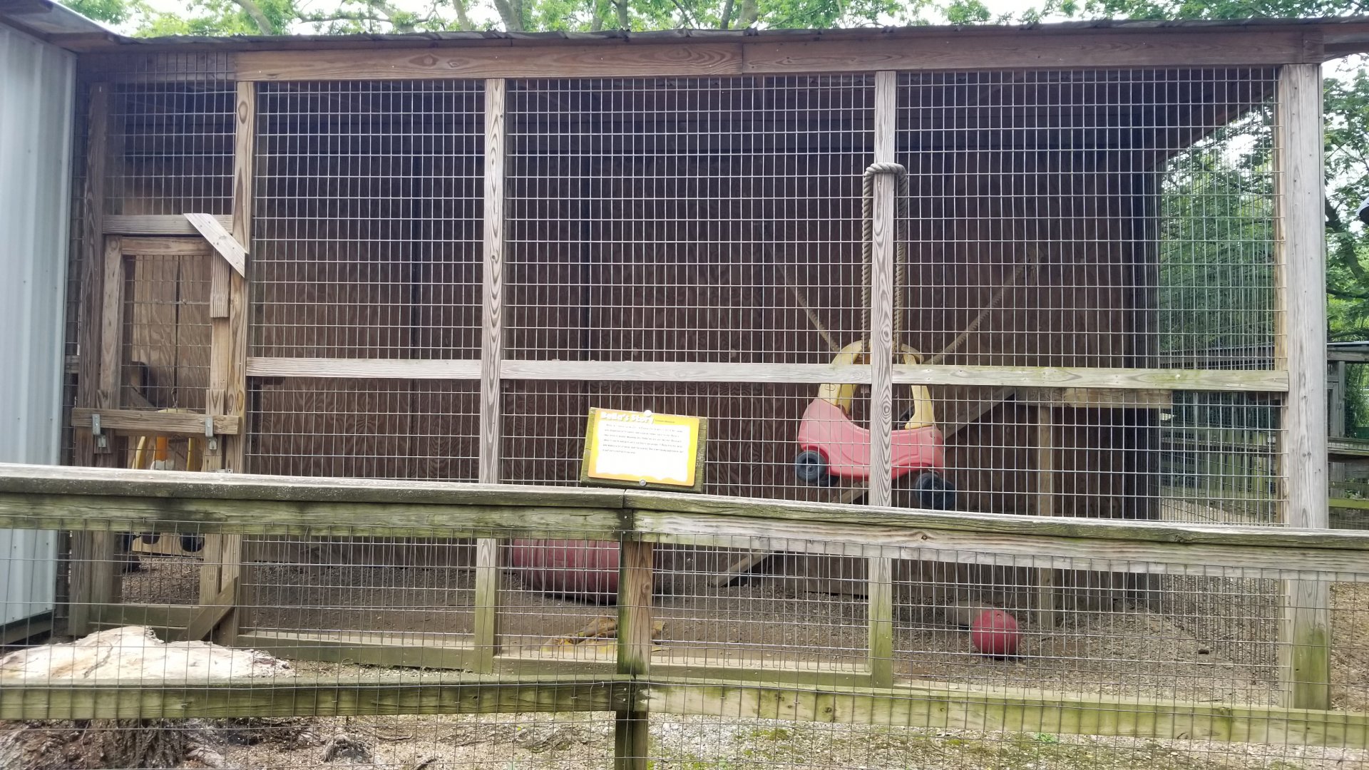 Luray Zoo - Side view of Tonkean macaque exhibit