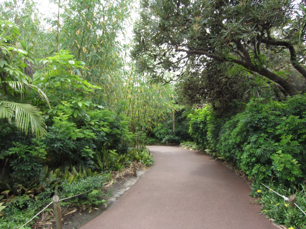 Lush vegetated pathways
