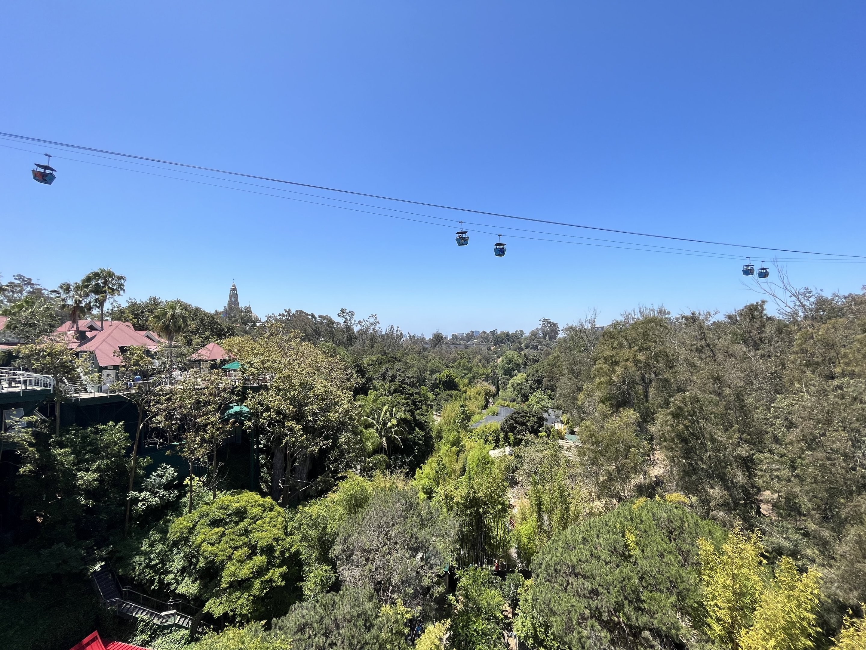 Lush Vegetation + Skyfari Ride