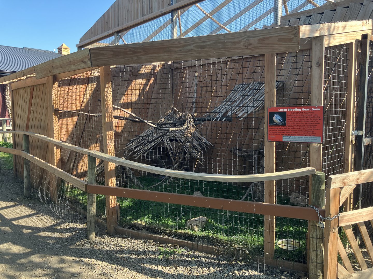 Luzon Bleeding Heart/Crested Wood Partridge Exhibit