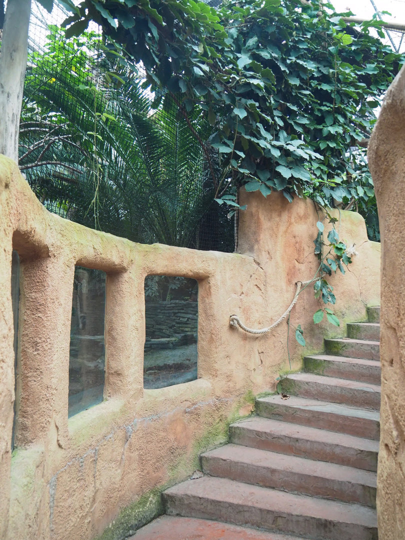 Luzon rufous hornbill aviary viewing area (Former turtle underwater viewing area), 2022-09-14