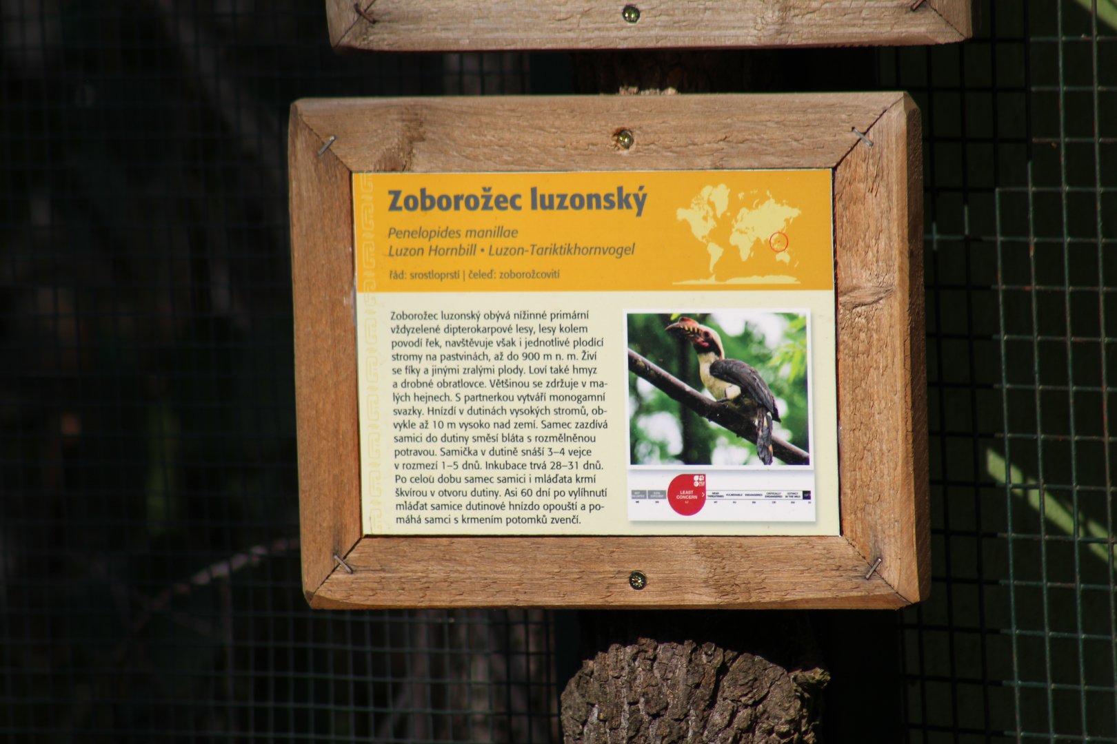 Luzon Tarictic Hornbill Signage