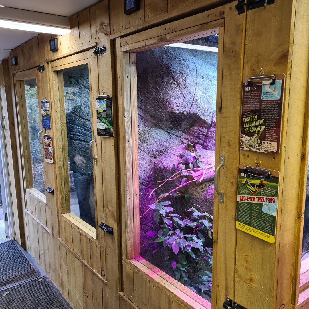 LVI Enclosures Bede's Zoo