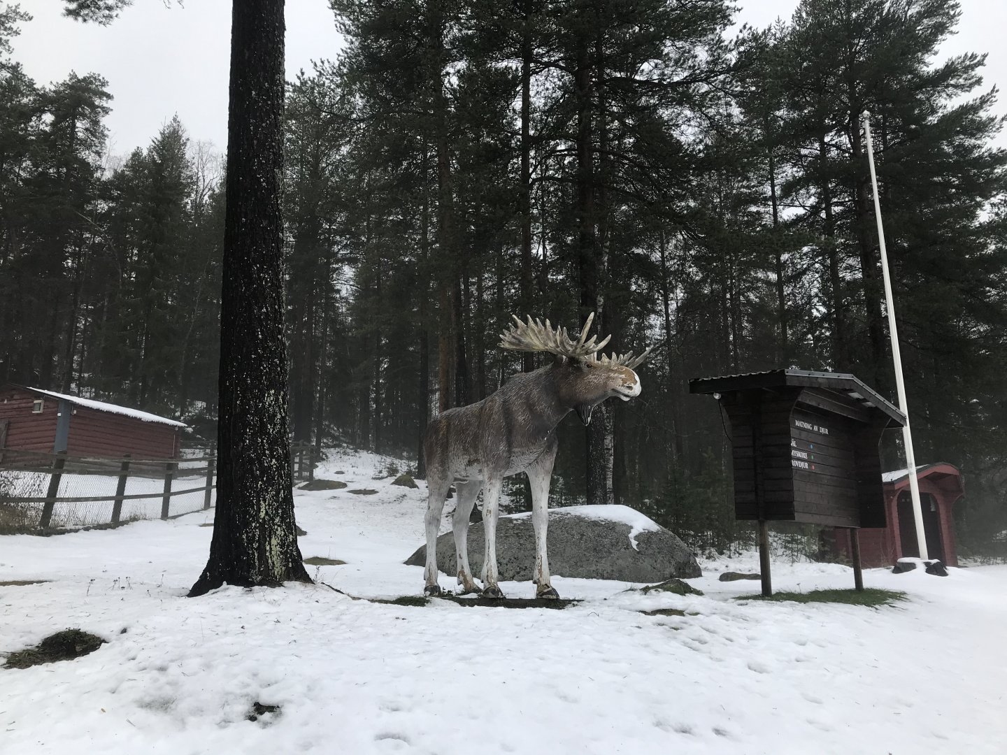 Lycksele entrance area