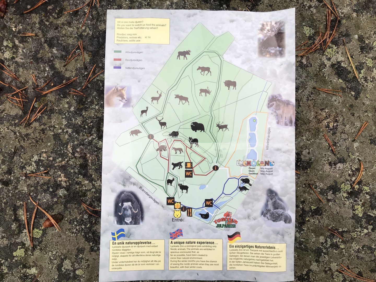 Lycksele map - winter version