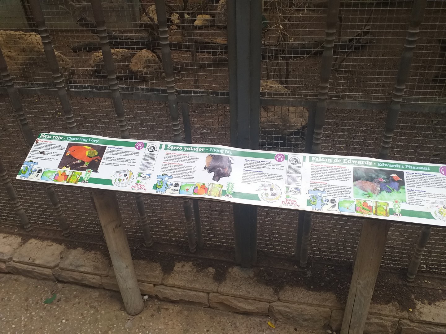 Lyle's flying fox, Edward's pheasant and Chattering lory sign -TerraNatura Benidorm (2021)