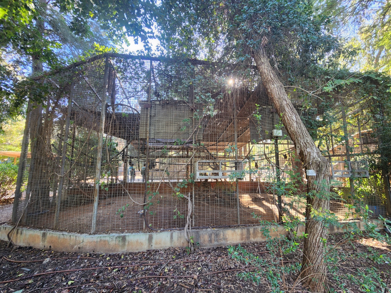 Lyles Flying Fox Exhibit