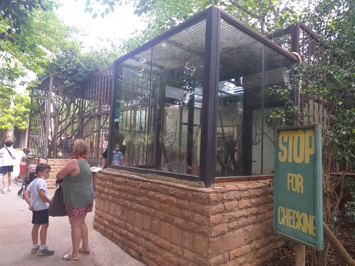 Lyle's flying fox, Reeve's muntjac, Edward's pheasant, Chattering lory and Green-naped lorikeet exhibit -TerraNatura Benidorm (2021)