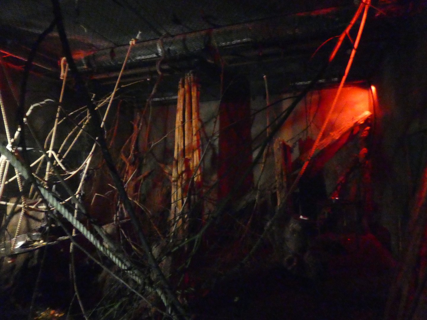 Lyle's Fruit Bat enclosure