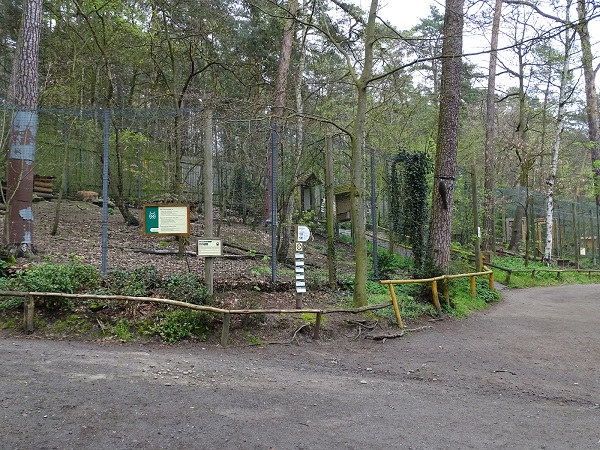 Lynx enclosure (04/2023)