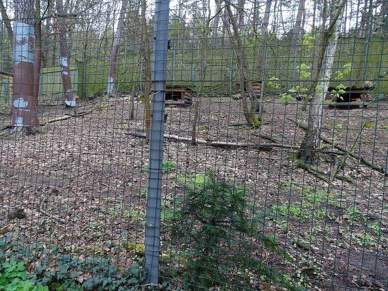 Lynx enclosure (04/2023)