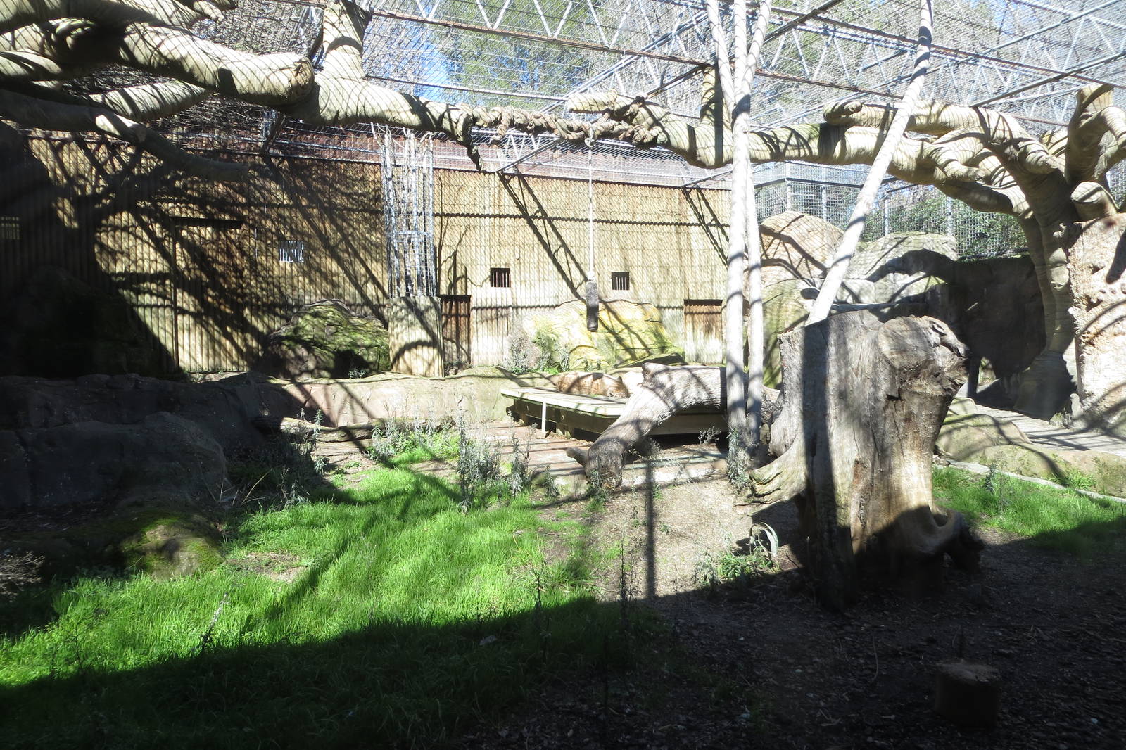 Lynx enclosure 150216