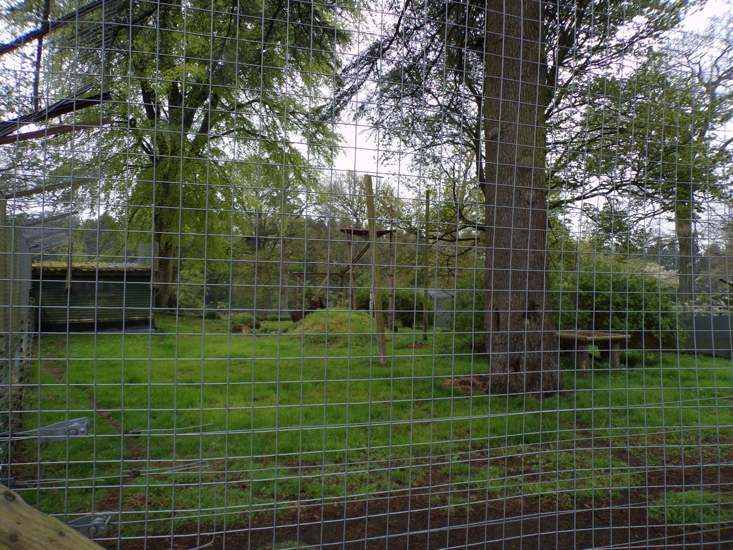 Lynx enclosure 7.5.23