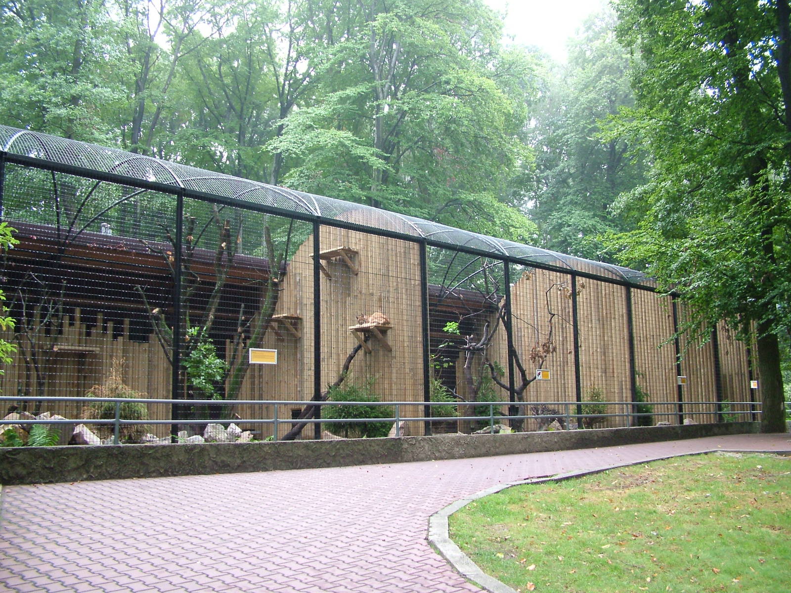 Lynx enclosure at Krakow 08/09/2008