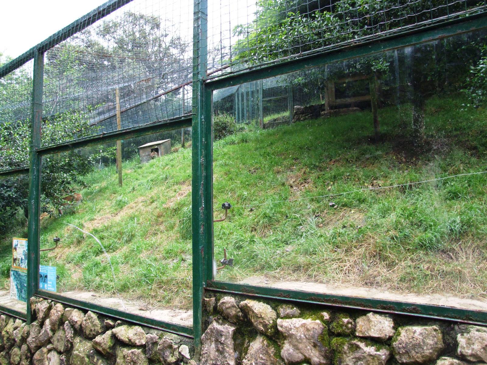 Lynx Enclosure at Santillana del Mar, 13/06/15