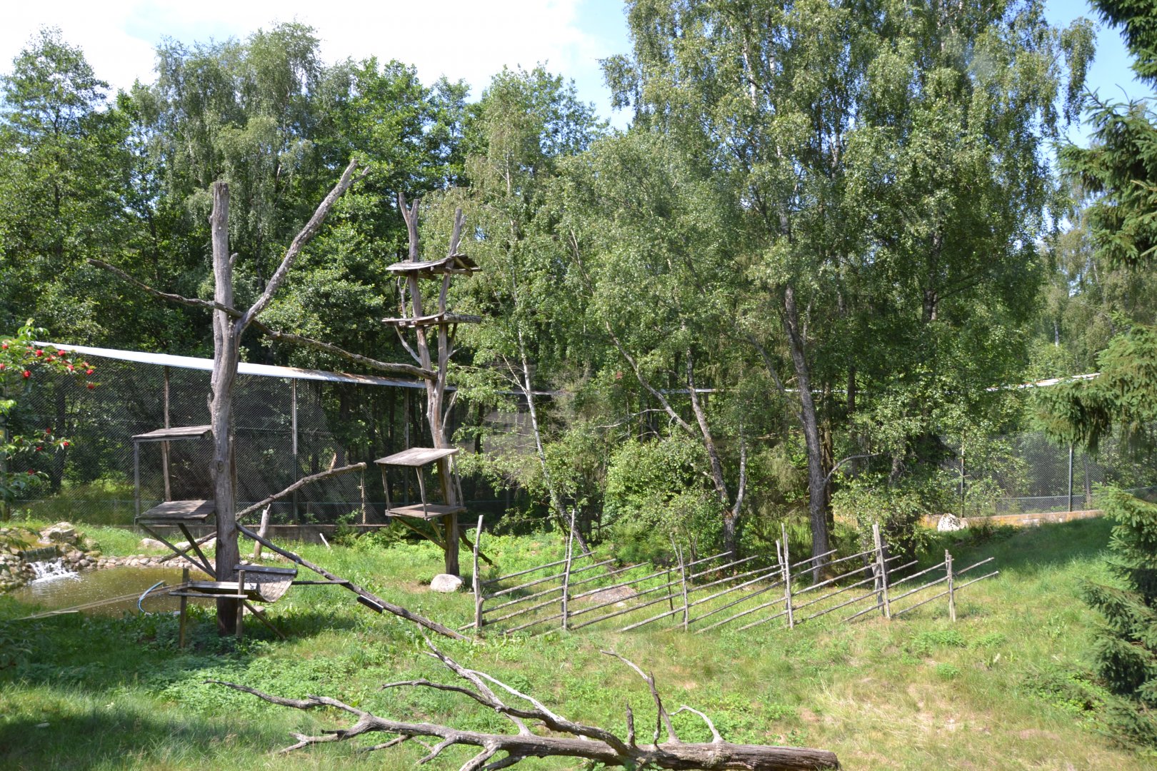 Lynx enclosure at Skånes djurpark