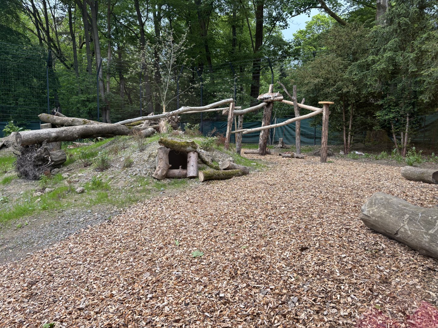 Lynx Enclosure at Zoologischer Garten Hof