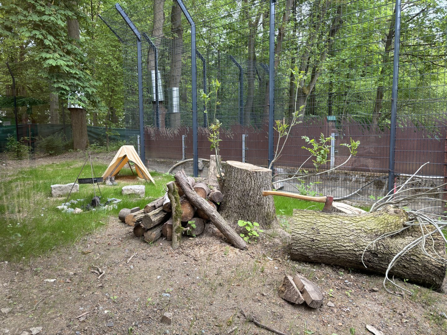 Lynx Enclosure at Zoologischer Garten Hof