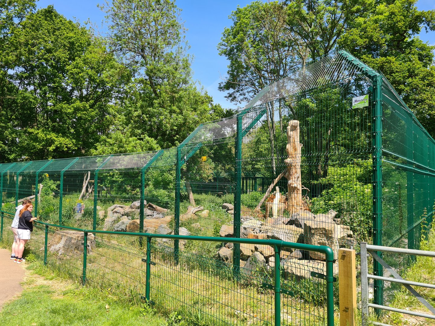 Lynx Enclosure, Beale
