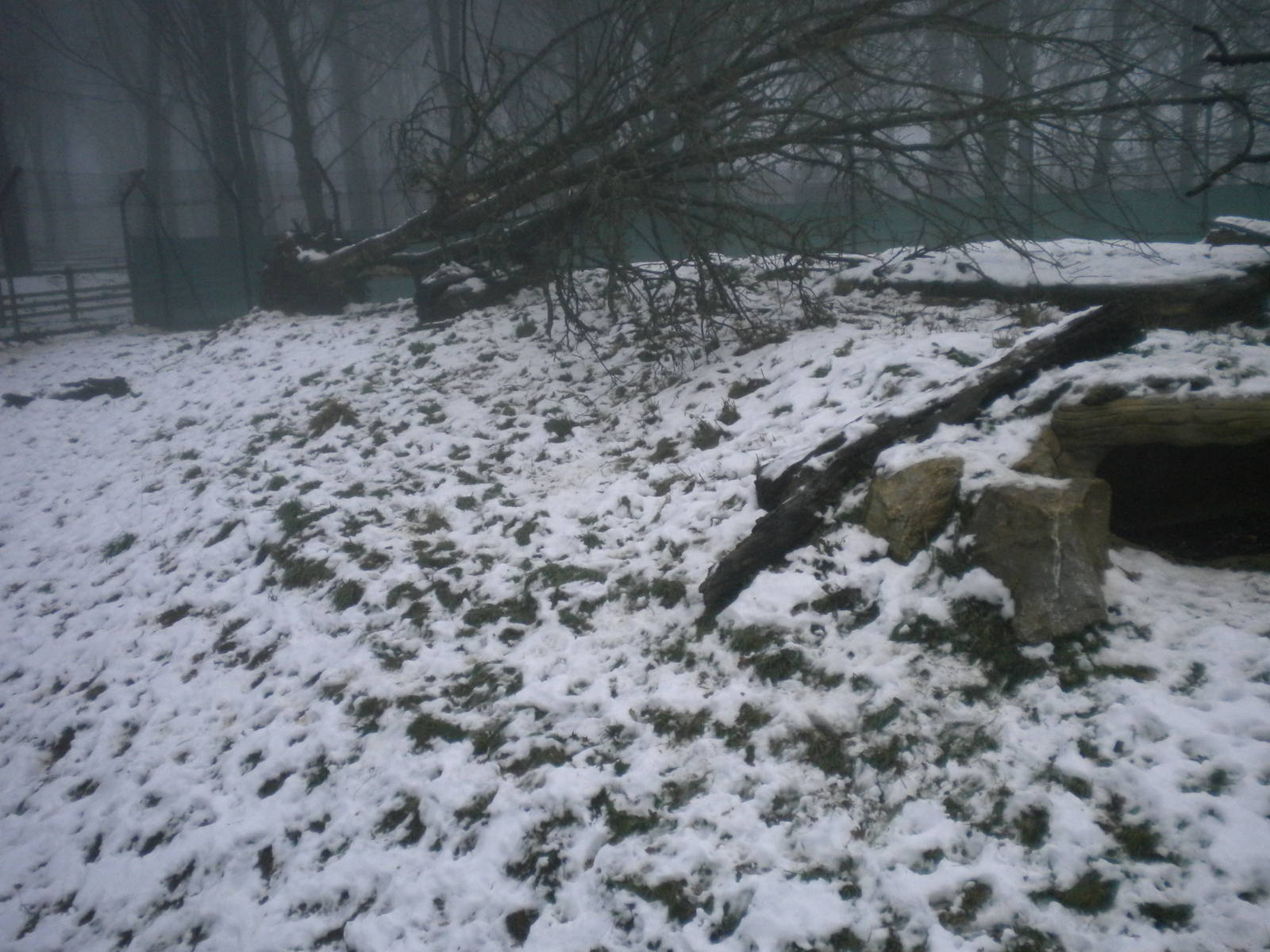 Lynx Enclosure section1-27/12/10