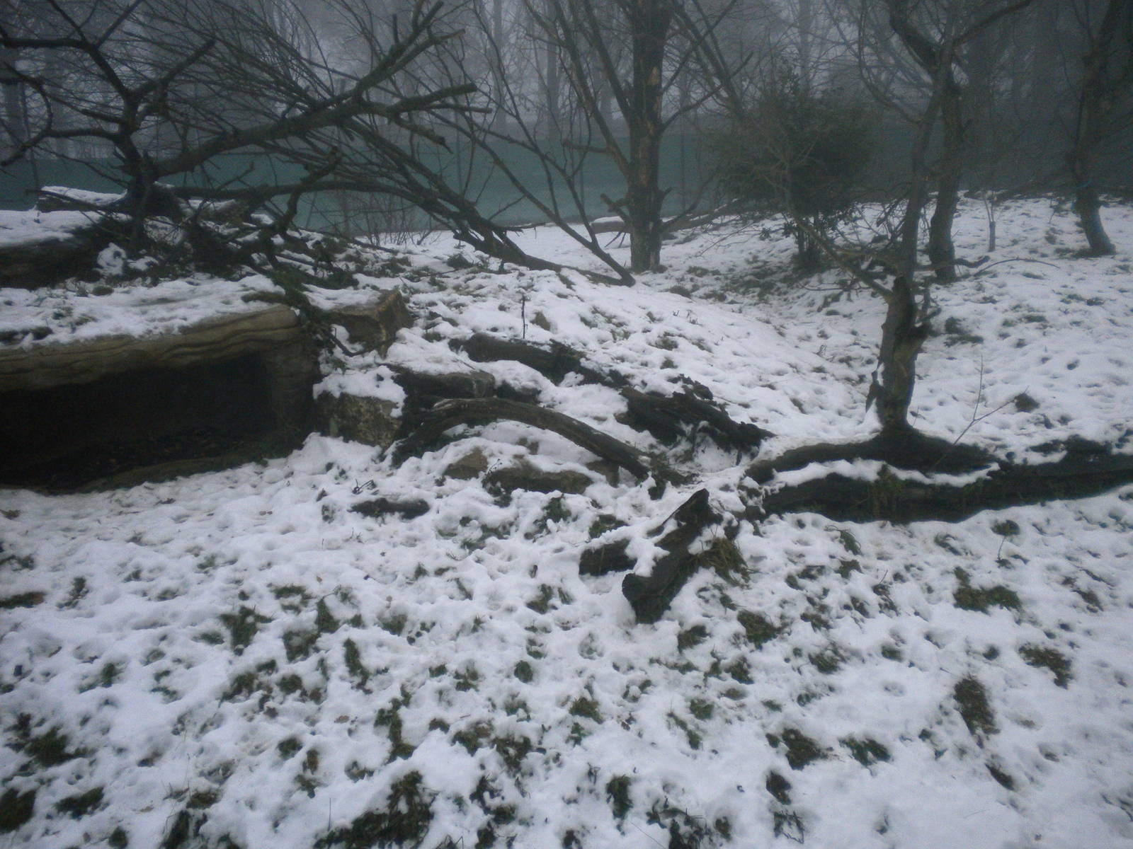 Lynx enclosure section2-27/12/10