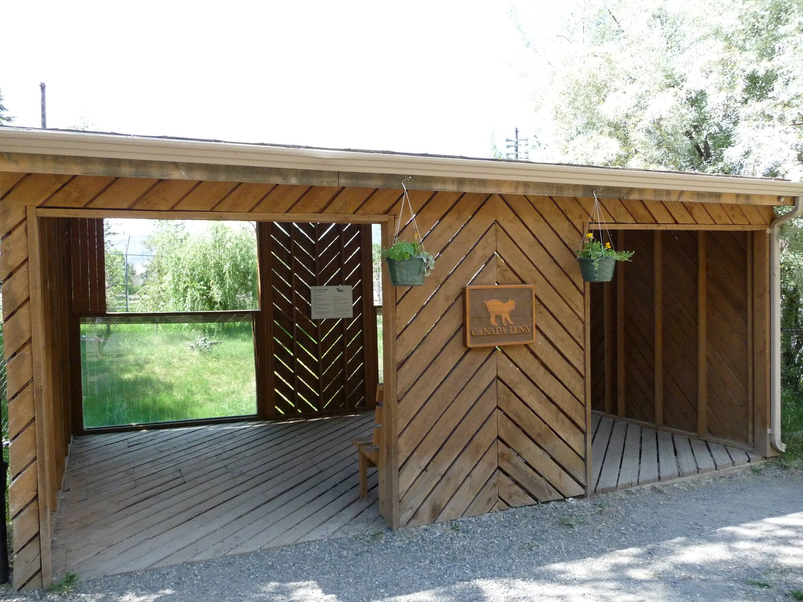 Lynx Enclosure - Viewing Platform